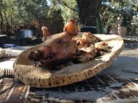 das Schwein war lecker