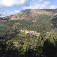 in den Bergen Korsikas