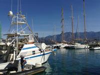 im Hafen von Calvi