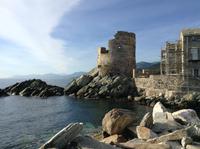 die Ostküste am Cap Course