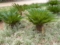 008 Stadtrundgang Paraty