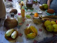 099 Amazonas - Besuch bei Familie Aurora - Früchte der Gegend