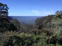 Blue Mountains