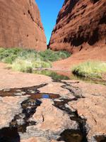Kata Tjuta Walpa Schlucht