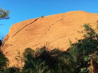 Ayers Rock - Kuniya Walk