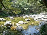 Daintree Nationalpark und Mossman Schlucht