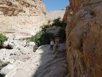 Oman, Wadi Bani Khalid