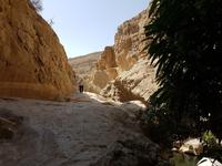 Oman, Wadi Bani Khalid