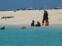 Great Barrier Reef - Michaelmas Cay
