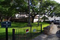 Rückfahrt zum Zentrum und Fortsetzung der Stadtrundfahrt durch Honolulu