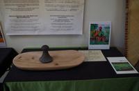 Ausflug OGG01 mit NCL zum Haleakala Krater auf Maui