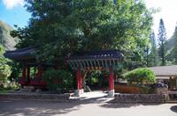 Individuelle Inselrundfahrt Maui mit allen Gästen im Taxi