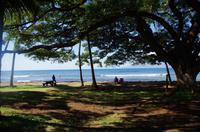 Individuelle Inselrundfahrt Maui mit allen Gästen im Taxi