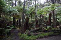 Ausflug ITO03 mit NCL 