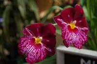 Ausflug ITO03 mit NCL 