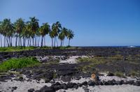 Ausflug KOA45 mit NCL 
