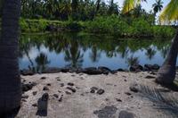 Ausflug KOA45 mit NCL 