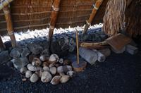 Ausflug KOA45 mit NCL 