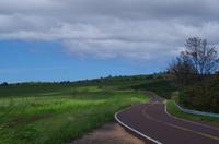 Individuelle Fahrt mit einigen Gästen zum Weimea Canyon auf Kauai im Taxi
