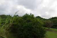 Ausflug NWK18 mit NCL 