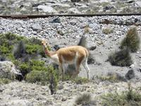 Komm her und knuddel mich 