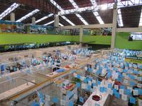 Markthalle Puno