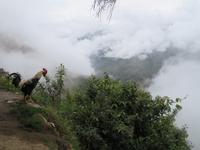 Wanderung zur Colpa Lodge