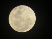 Mondschein in der Namib