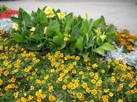 Arbon am Bodensee