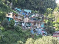 auf dem Weg nach Gantok