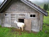 auf der Schwägalp...