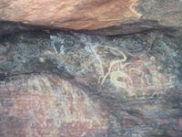 Ayers Rock - Kuniya Walk - Höhlenmalerei