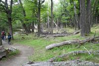 17 Tage Wanderreise Argentinien und Chile – Patagonien und Feuerland mit Buenos Aires – Nationalpark Los Glaciares mit El Chalten und Perito Moreno – Nationalpark Torres del Paine – Feuerland – Ushuaia (251)