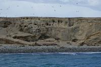 17 Tage Wanderreise Argentinien und Chile – Patagonien und Feuerland mit Buenos Aires – Nationalpark Los Glaciares mit El Chalten und Perito Moreno – Nationalpark Torres del Paine – Feuerland – Ushuaia (726)