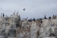 17 Tage Wanderreise Argentinien und Chile – Patagonien und Feuerland mit Buenos Aires – Nationalpark Los Glaciares mit El Chalten und Perito Moreno – Nationalpark Torres del Paine – Feuerland – Ushuaia (890)