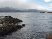 17 Tage Wanderreise Argentinien und Chile – Patagonien und Feuerland mit Buenos Aires – Nationalpark Los Glaciares mit El Chalten und Perito Moreno – Nationalpark Torres del Paine – Feuerland – Ushuaia (898)