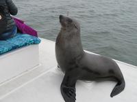 Besuch auf dem Katamaran