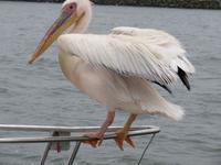 ...schön Balance halten