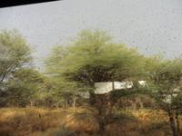 Regen beim Sunddowner