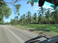 Daintree Nationalpark und Mossman Schlucht
