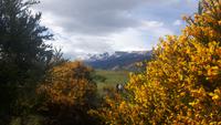 Ausflug Estancia Cristina - Rundgang