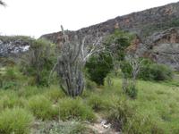 Die Trockenregion um Imias