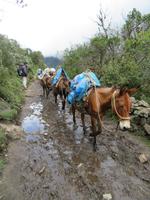 Wege sind für alle da