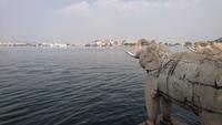 Blick über den See in Udaipur