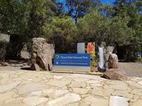 Mount Field National Park