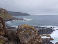 Admirals Arch auf Kangaroo Island