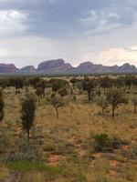 Kata Tjuta - die Olgas