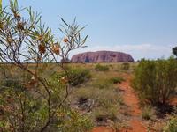 Uluru