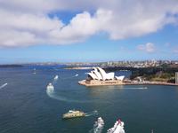 Blick auf Sydney vom Habour Bridge Tower