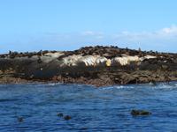 Robben Hout Bay